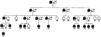 A pedigree diagram shows the manifestation of Huntington’s disease (HD) in a single family over five generations. Each generation occupies a single horizontal row in the diagram. Circle and square symbols represent female and male family members, respectively. A horizontal line connects two individuals that form a mating pair. A vertical line connects the mating pair to their offspring in the next generation.
